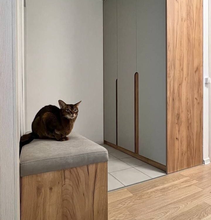Никто не устоял 😽 Эта прихожая — тот случай, когда гости останавливаются уже на…
